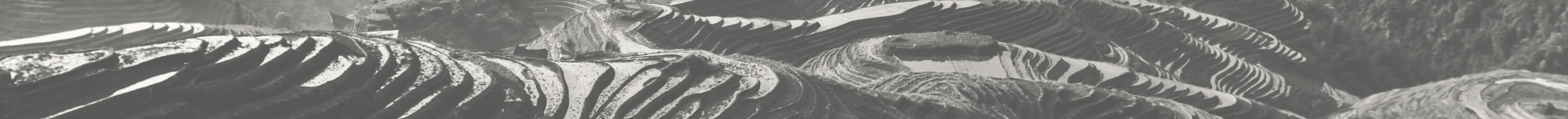 Image bas de page Miyagi