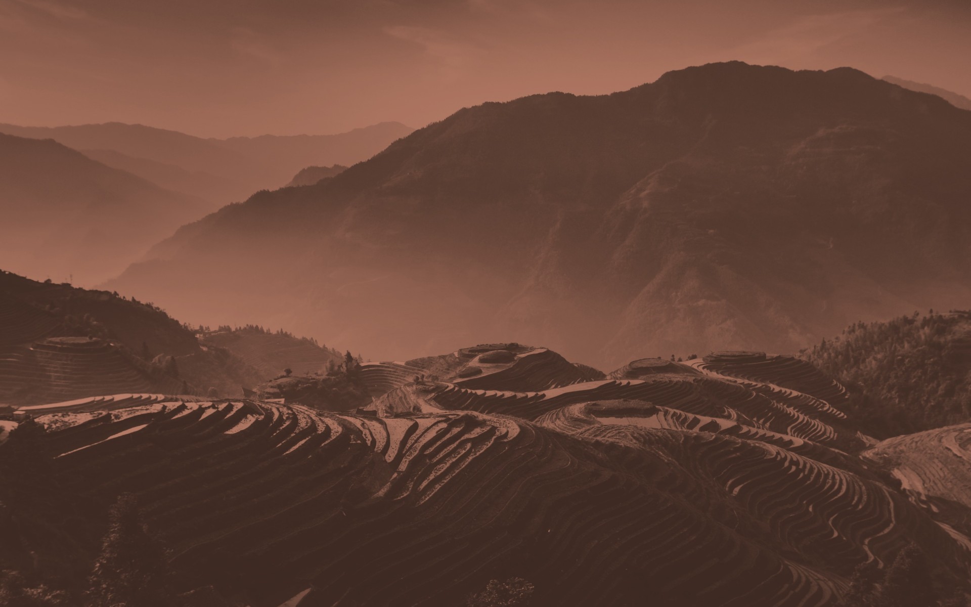 Miyagi Bistro - L'unique bistro thai & Sushi à Québec